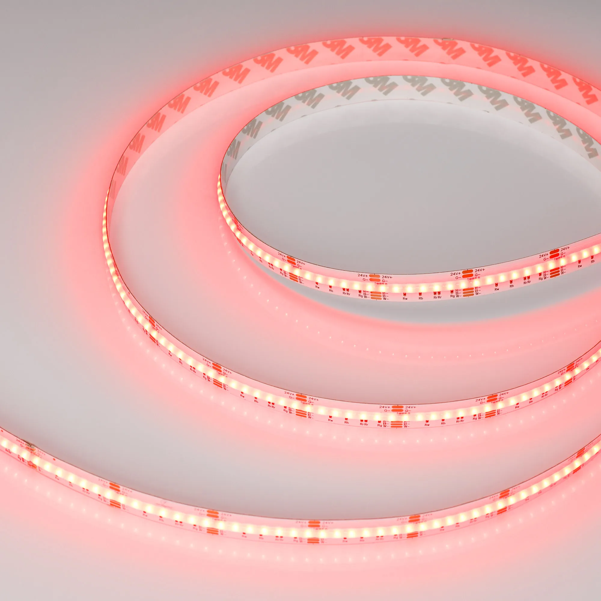 Лента светодиодная CSP-X840-12mm 24V RGBW-Warm (17.2 W/m, IP20, 5m) (Arlight, 5 лет) - изображение товара