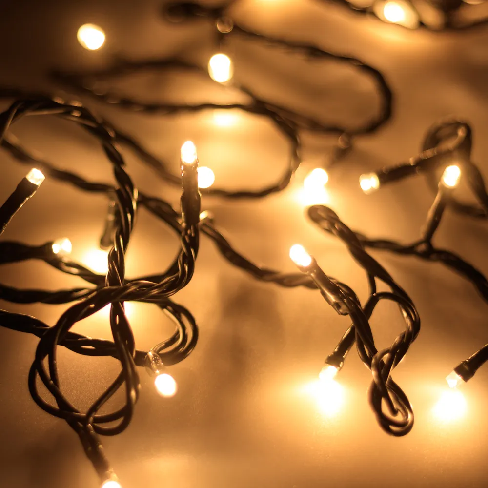 Светодиодная гирлянда ARD-STRING-HOME-5000-GREEN-50LED-STD WARM (230V, 3.5W) (Ardecoled, IP20) - изображение товара